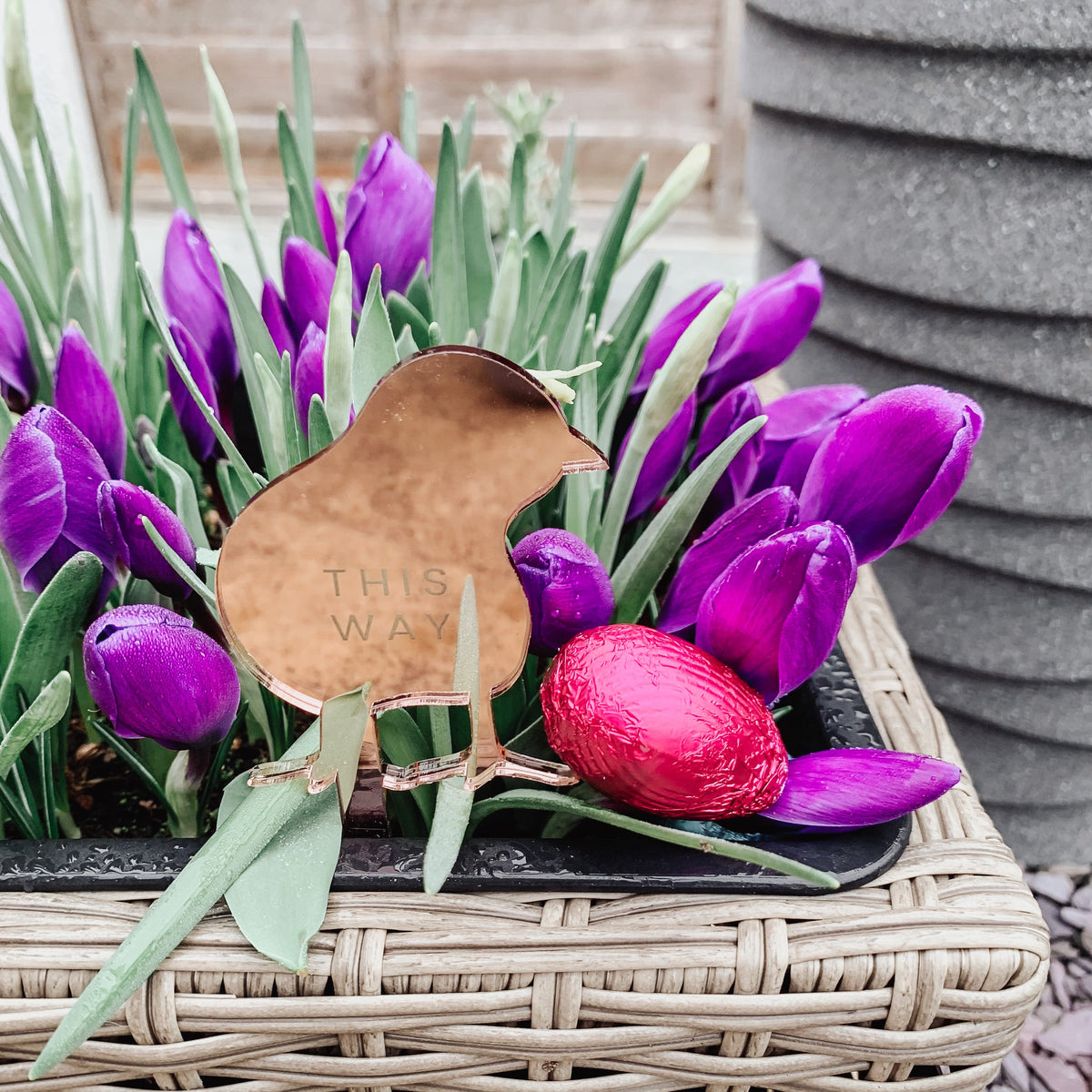 Children's Easter Games