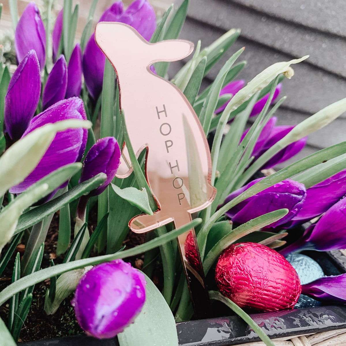 Easter Bunny Egg Hunt Markers