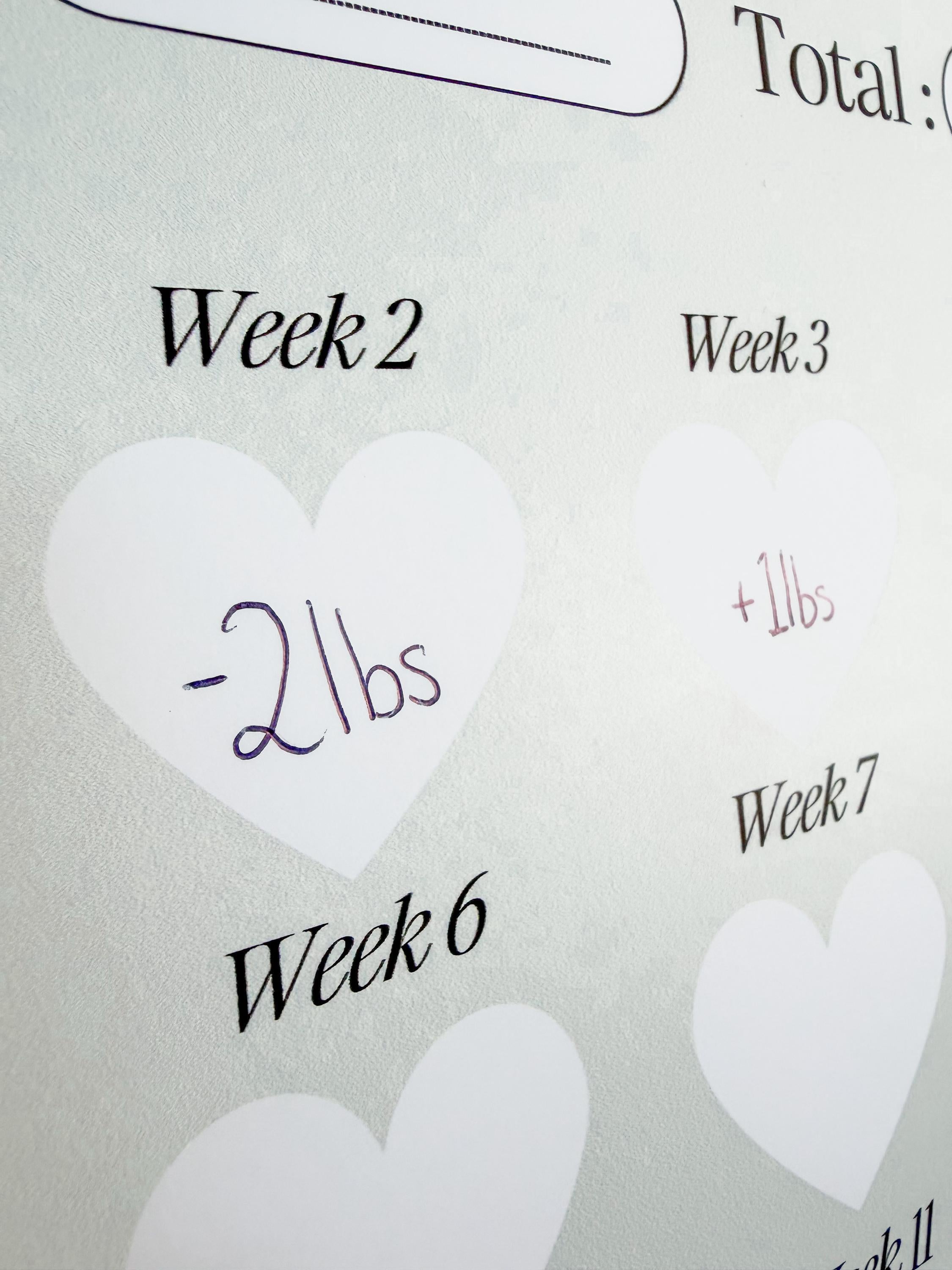 Weight Loss Tracker: 20 Weeks Slimming Chart - A4 & A3 Print